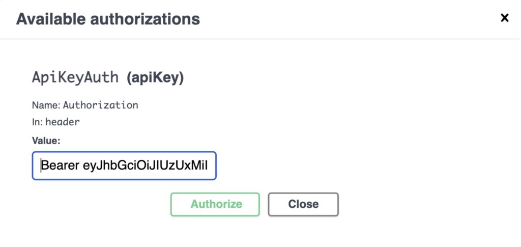 Screenshot of API Key authentication
