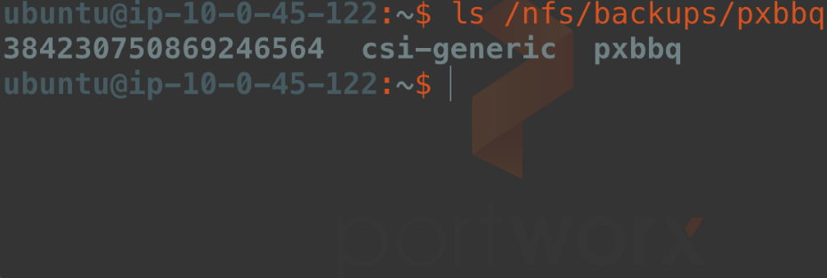 Terminal screenshot showing data in the NFS Server