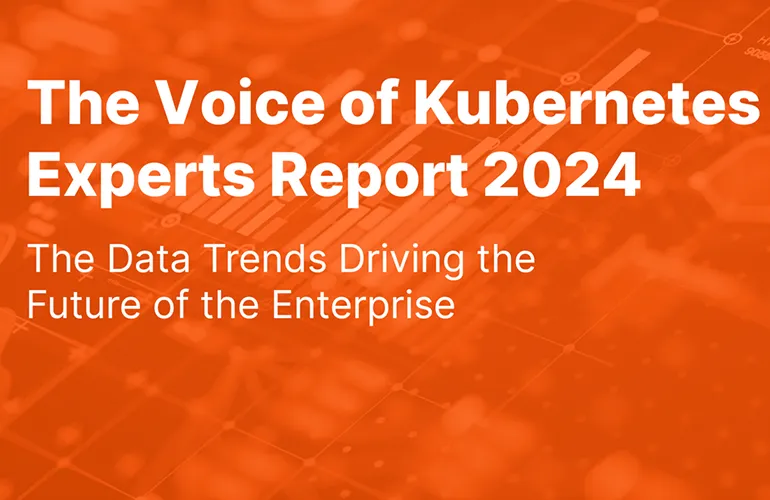 The Voice of Kubernetes Experts Report 2024